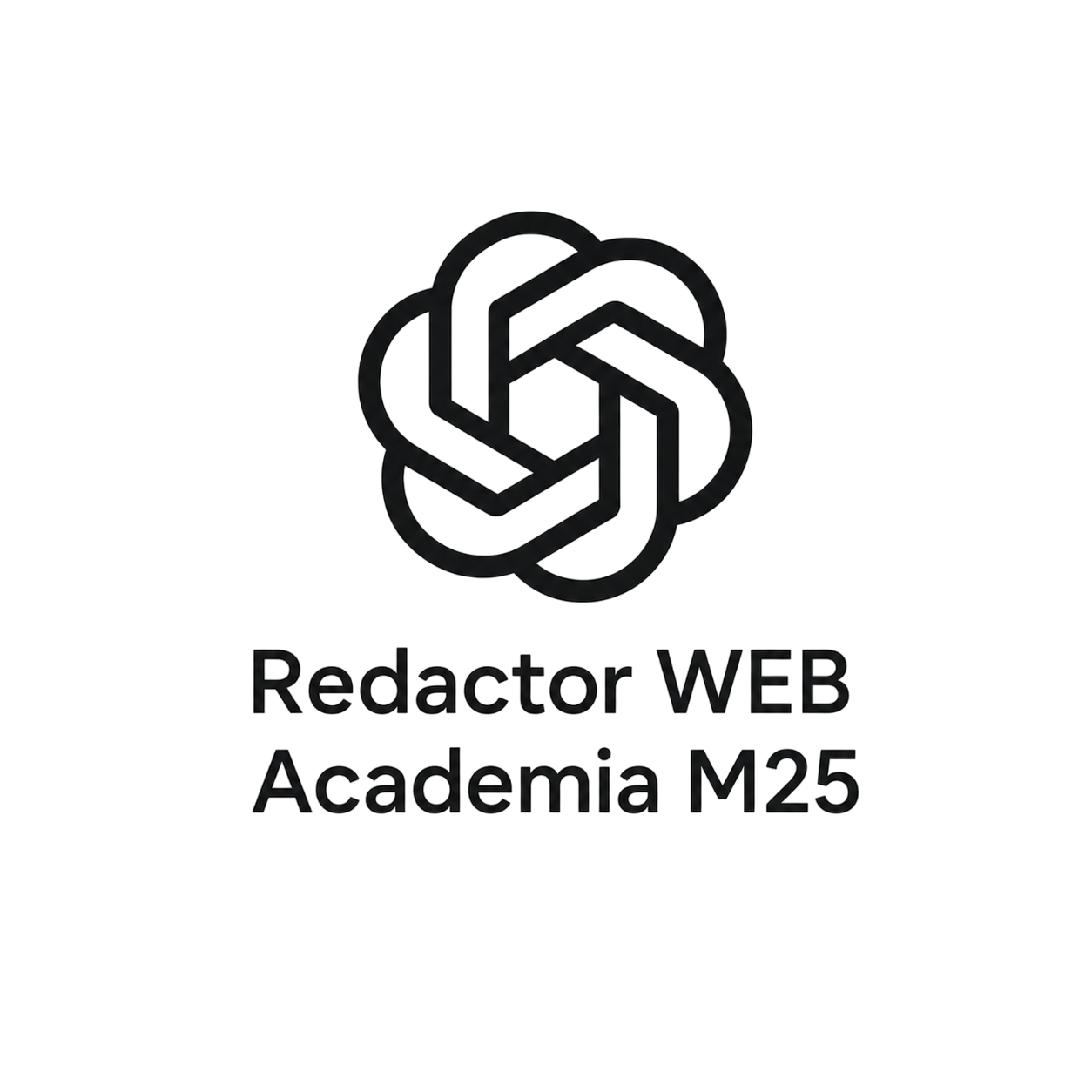 Redactor WEB Academia M25